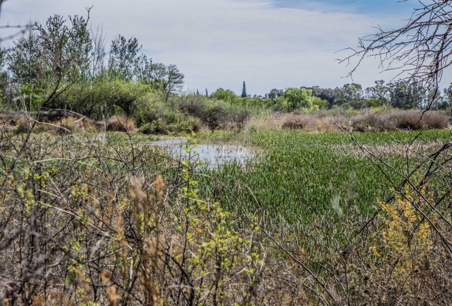 Commercial Property for Sale in Koppies Free State